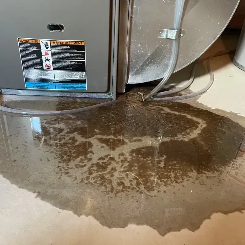 Appliance Leak Cleanup in Lakeshire, MO